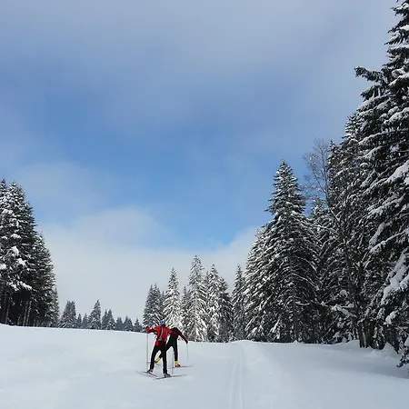 La Roche Du Trésor Village Vacances *