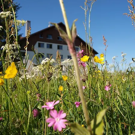 Pensión La Roche Du Trésor Village Vacances